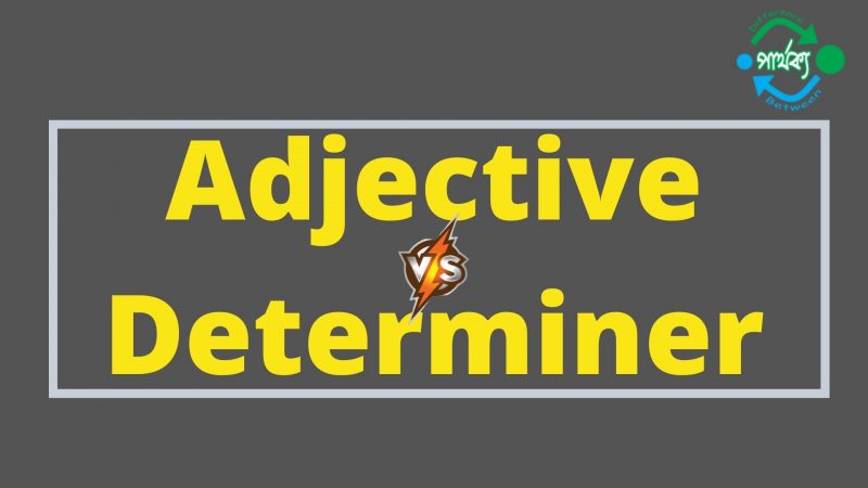 Adjective ও Determiner-