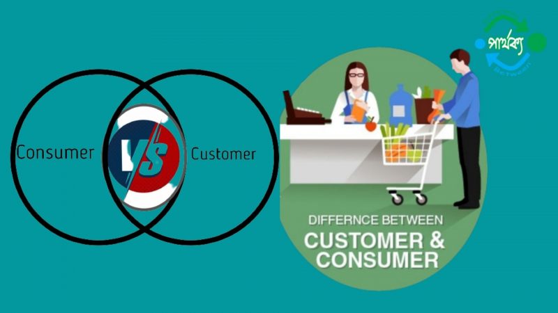 customer and consumer