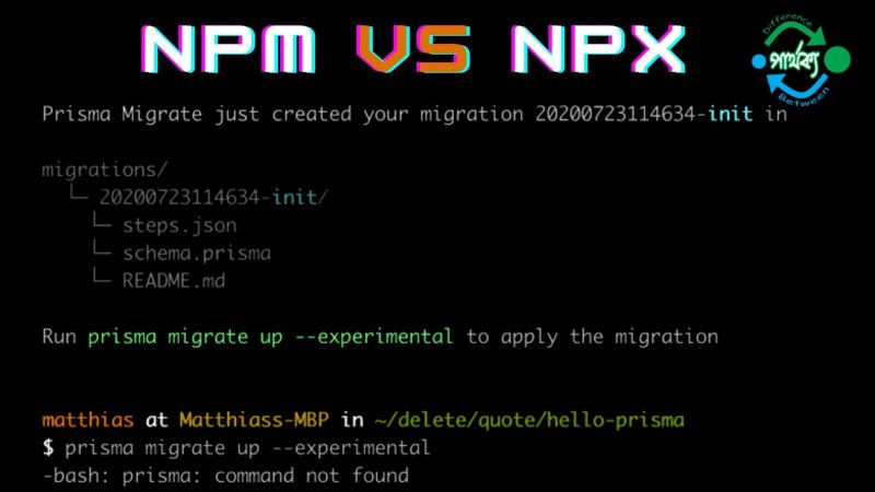 NPM এবং NPX