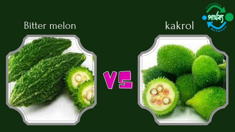 kakrol-and-Bitter melon