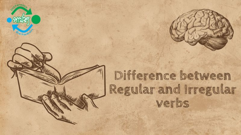 Regular এবং Irregular verb