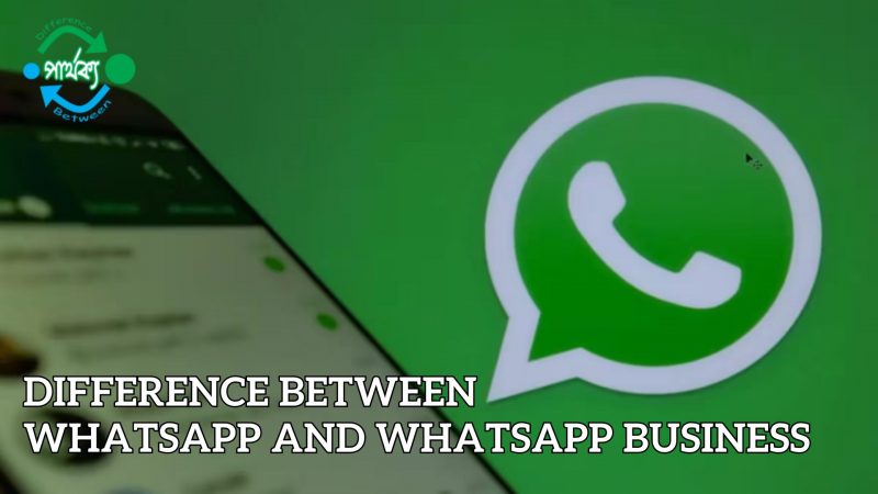 WhatsApp এবং WhatsApp Business এর